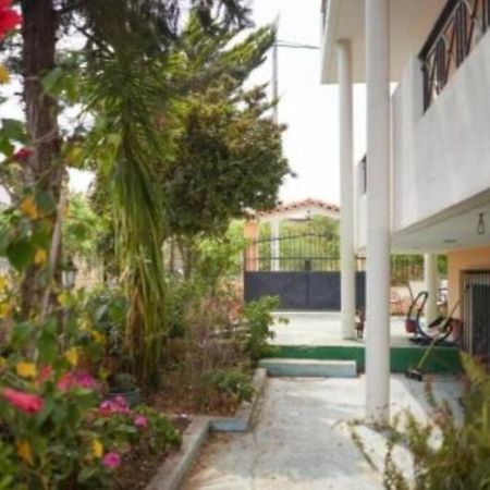 George 'S Nest Apartment Agios Spyridon  ภายนอก รูปภาพ